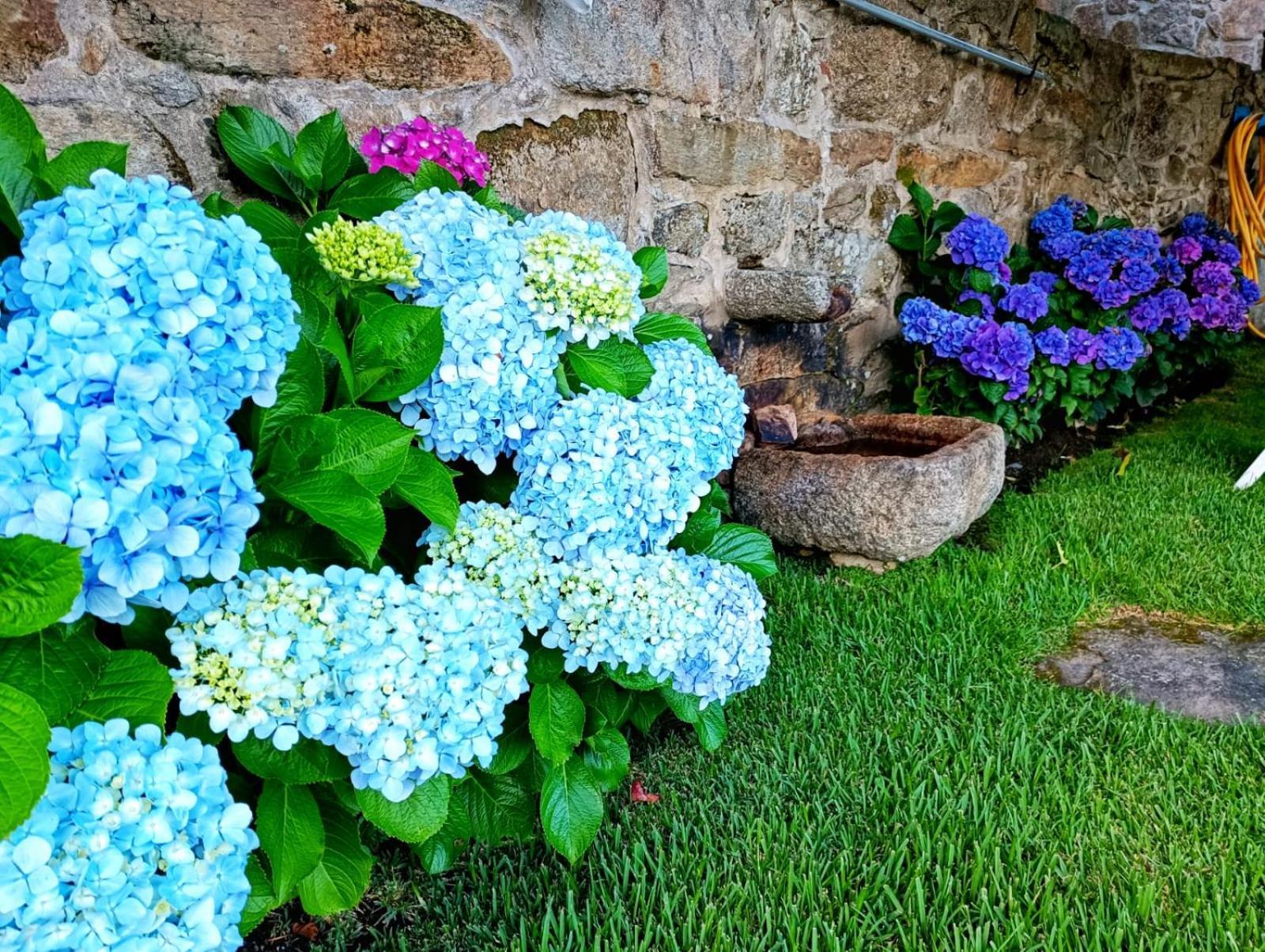 Villa Remanso Azul Moaña Esterno foto